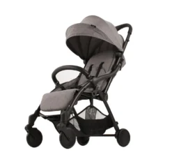 Moon EZ-Fold Buggy - Rhino